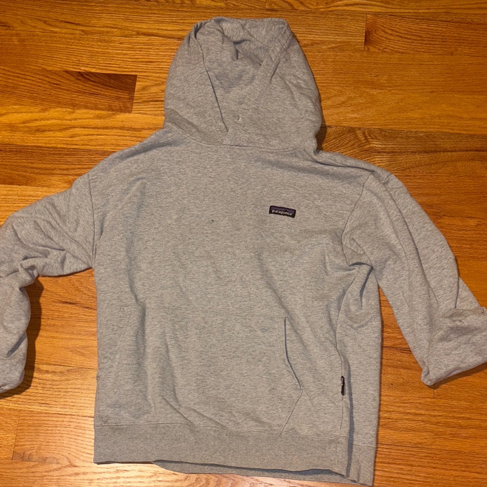 Patagonia Light Gray Hoodie